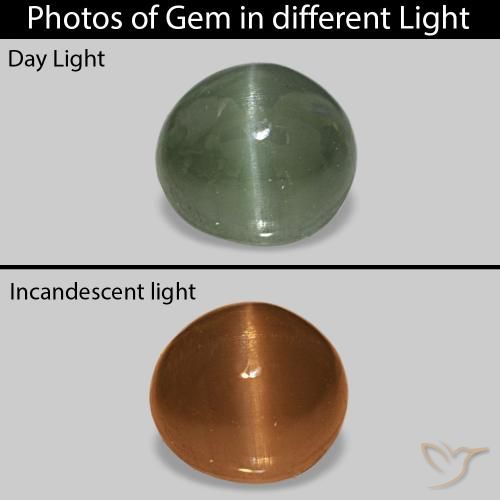 Cat's Eye Alexandrite أخضر متوسط طبيعي، بيضوي، 0.59 قيراط، غير شفاف