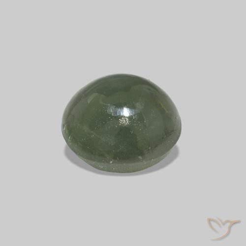 Cat's Eye Alexandrite أخضر متوسط طبيعي، بيضوي، 0.59 قيراط، غير شفاف