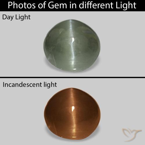 Cat's Eye Alexandrite أخضر متوسط طبيعي، بيضوي، 0.54 قيراط، غير شفاف