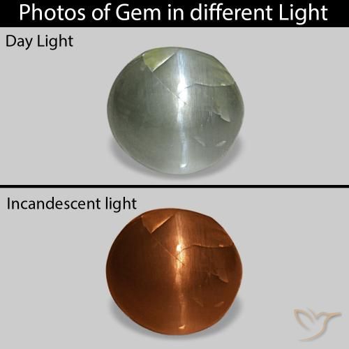 Cat's Eye Alexandrite أخضر رمادى طبيعي، بيضوي، 0.51 قيراط، غير شفاف