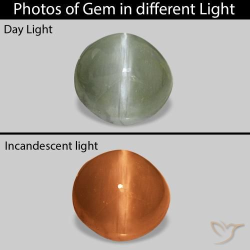 Cat's Eye Alexandrite أخضر متوسط طبيعي، بيضوي، 0.60 قيراط، غير شفاف