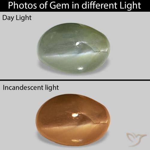 Cat's Eye Alexandrite أخضر متوسط طبيعي، بيضوي، 0.62 قيراط، غير شفاف