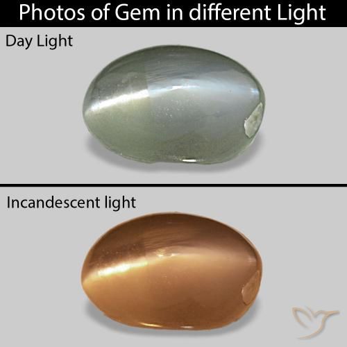 Cat's Eye Alexandrite أخضر متوسط طبيعي، بيضوي، 0.71 قيراط، غير شفاف