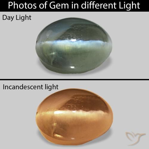 Cat's Eye Alexandrite أخضر طبيعي، بيضوي، 0.74 قيراط، غير شفاف