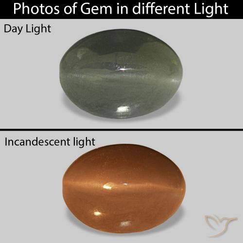 0.61ct أخضر متوسط Cat's Eye Alexandrite, بيضوي, غير شفاف