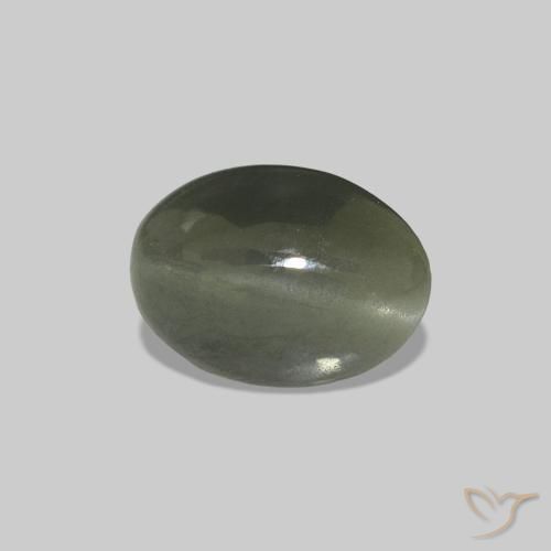 Cat's Eye Alexandrite أخضر متوسط طبيعي، بيضوي، 0.61 قيراط، غير شفاف