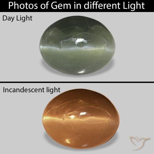 Cat's Eye Alexandrite أخضر الغابة باهت طبيعي، بيضوي، 0.62 قيراط، غير شفاف