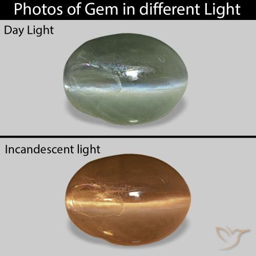 Cat's Eye Alexandrite أخضر متوسط طبيعي، بيضوي، 0.68 قيراط، غير شفاف