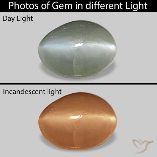 Cat's Eye Alexandrite أخضر متوسط طبيعي، بيضوي، 0.40 قيراط، غير شفاف