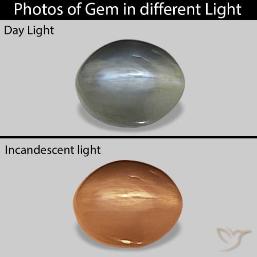 Cat's Eye Alexandrite رمادى متوسط طبيعي، بيضوي، 0.72 قيراط، غير شفاف