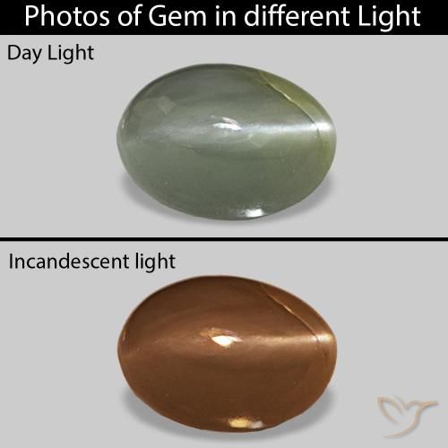 عين القط ألكسندريت أخضر متوسط طبيعي، قصة بيضاوى، 0.56 قيراط، غير شفاف