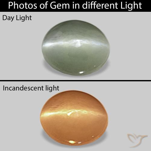 Cat's Eye Alexandrite أخضر متوسط طبيعي، بيضوي، 0.56 قيراط، غير شفاف