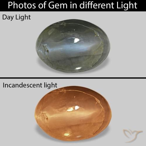 Cat's Eye Alexandrite رمادى مخضر-باهت طبيعي، بيضوي، 0.52 قيراط، غير شفاف