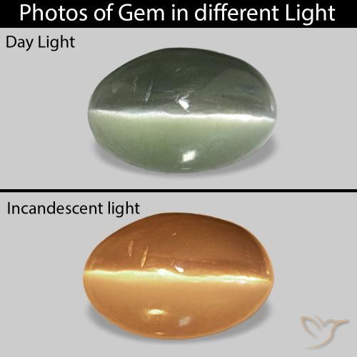 Cat's Eye Alexandrite أخضر رمادى طبيعي، بيضوي، 0.73 قيراط، غير شفاف