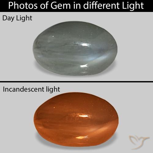 Cat's Eye Alexandrite رمادى متوسط طبيعي، بيضوي، 0.92 قيراط، غير شفاف