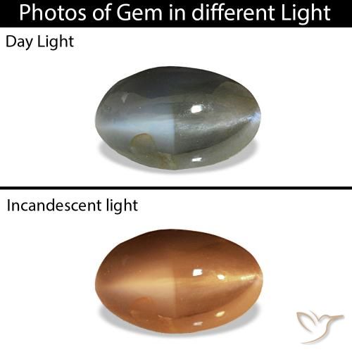 Cat's Eye Alexandrite رمادى مخضر-باهت طبيعي، بيضوي، 0.51 قيراط، غير شفاف