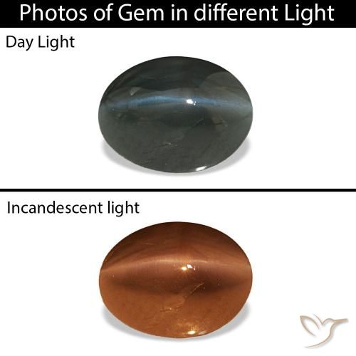 Cat's Eye Alexandrite رمادى فولاذى طبيعي، بيضوي، 0.96 قيراط، غير شفاف