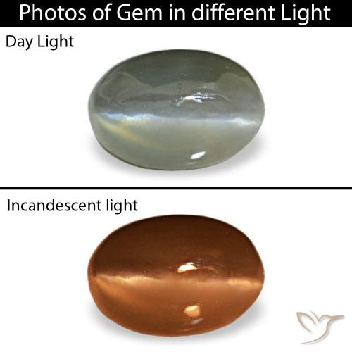 0.50ct رمادي Cat's Eye Alexandrite, بيضاوي, غير شفاف