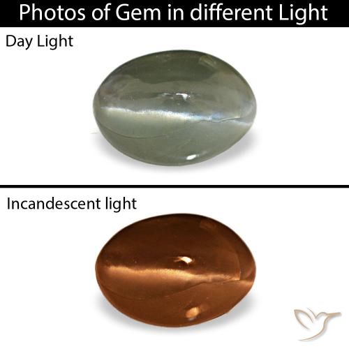Cat's Eye Alexandrite طبيعي بلون رمادى متوسط، وزن ‎0.49‎ قيراط، شكل بيضاوى، مقاس ‎5.3x3.7‎ مم