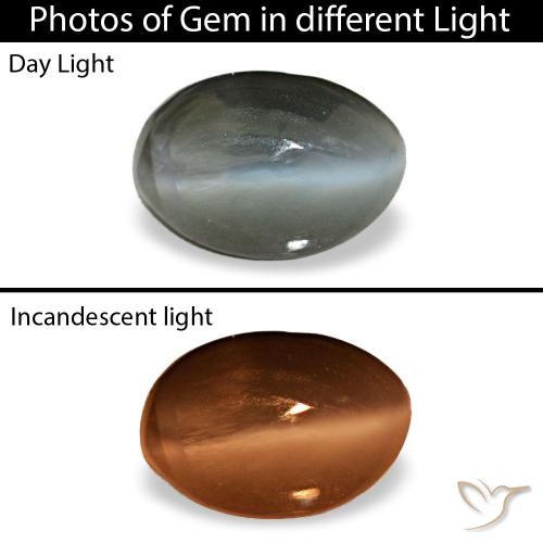 Cat's Eye Alexandrite طبيعي بلون رمادى مخضر-باهت، وزن ‎0.56‎ قيراط، شكل بيضاوى، مقاس ‎5.5x3.8‎ مم