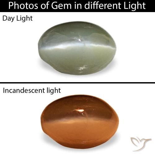 Cat's Eye Alexandrite طبيعي بلون أخضر رمادى، وزن ‎0.59‎ قيراط، شكل بيضاوى، مقاس ‎5.2x3.6‎ مم