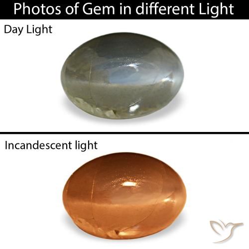 Cat's Eye Alexandrite طبيعي بلون أخضر رمادى، وزن ‎0.51‎ قيراط، شكل بيضاوى، مقاس ‎5.5x3.7‎ مم