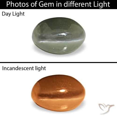 Cat's Eye Alexandrite طبيعي بلون أخضر رمادى، وزن ‎0.53‎ قيراط، شكل بيضاوى، مقاس ‎5.2x3.6‎ مم