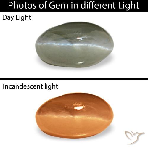 Cat's Eye Alexandrite طبيعي بلون أخضر متوسط، وزن ‎0.50‎ قيراط، شكل بيضاوى، مقاس ‎5.4x3.1‎ مم