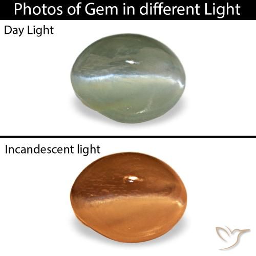 Cat's Eye Alexandrite طبيعي بلون أخضر متوسط، وزن ‎0.54‎ قيراط، شكل بيضاوى، مقاس ‎5x3.8‎ مم