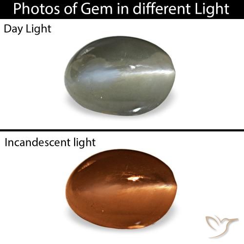 0.54ct أخضر Cat's Eye Alexandrite, بيضاوي, غير شفاف