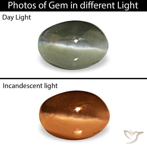 Cat's Eye Alexandrite طبيعي بلون أخضر متوسط، وزن ‎0.49‎ قيراط، شكل بيضاوى، مقاس ‎4.9x3.4‎ مم