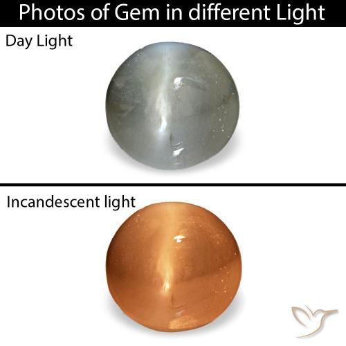 Cat's Eye Alexandrite طبيعي بلون رمادى داكن، وزن ‎0.51‎ قيراط، شكل بيضاوى، مقاس ‎4.6x4.4‎ مم