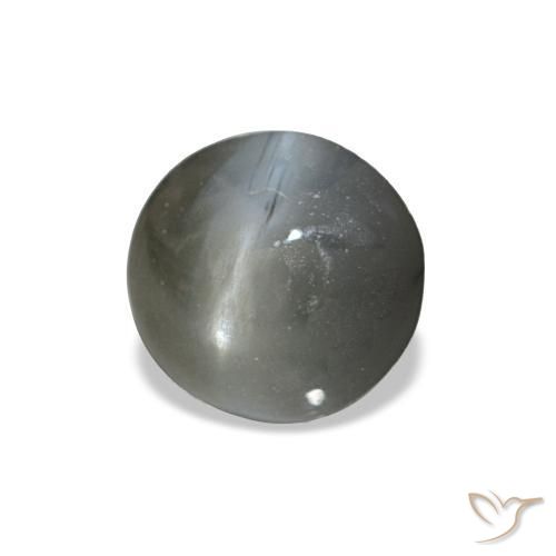 Cat's Eye Alexandrite طبيعي بلون رمادى داكن، وزن ‎0.51‎ قيراط، شكل بيضاوى، مقاس ‎4.6x4.4‎ مم