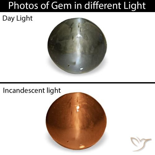 Cat's Eye Alexandrite طبيعي بلون رمادى داكن، وزن ‎0.47‎ قيراط، شكل بيضاوى، مقاس ‎4.7x4.4‎ مم