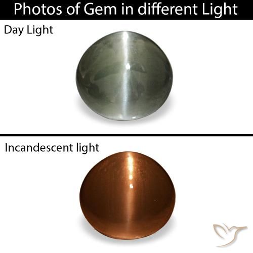 0.42ct رمادي Cat's Eye Alexandrite, بيضاوي, غير شفاف