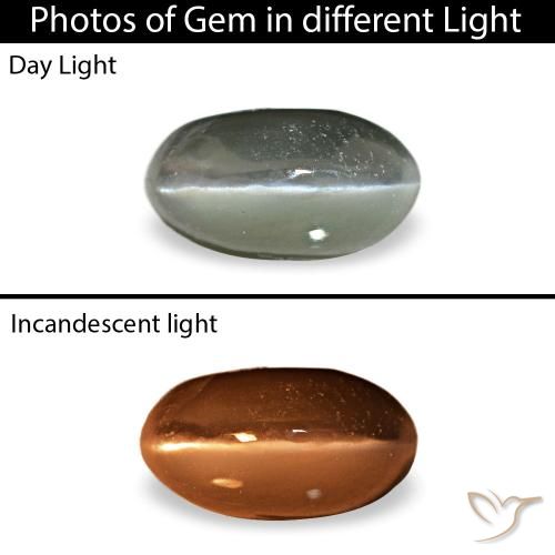 0.45ct رمادي Cat's Eye Alexandrite, بيضاوي, غير شفاف
