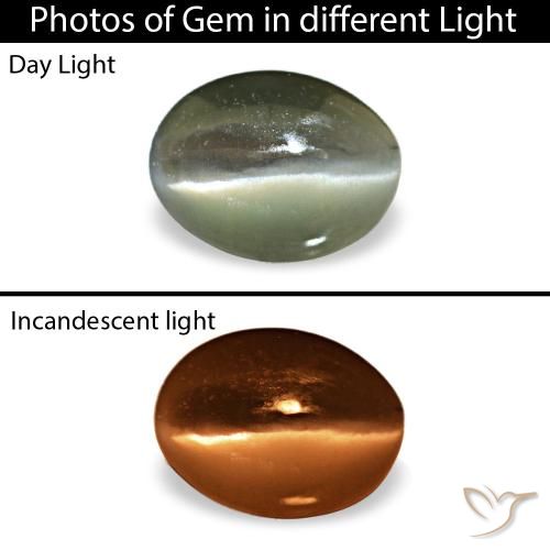 0.42ct رمادي Cat's Eye Alexandrite, بيضاوي, غير شفاف