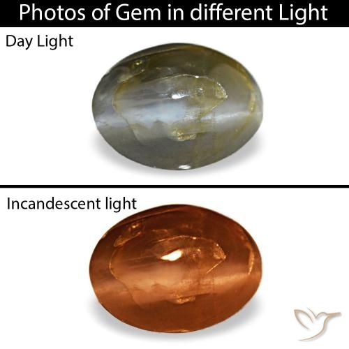 Cat's Eye Alexandrite طبيعي بلون رمادى فولاذى، وزن ‎0.48‎ قيراط، شكل بيضاوى، مقاس ‎5.6x4.2‎ مم