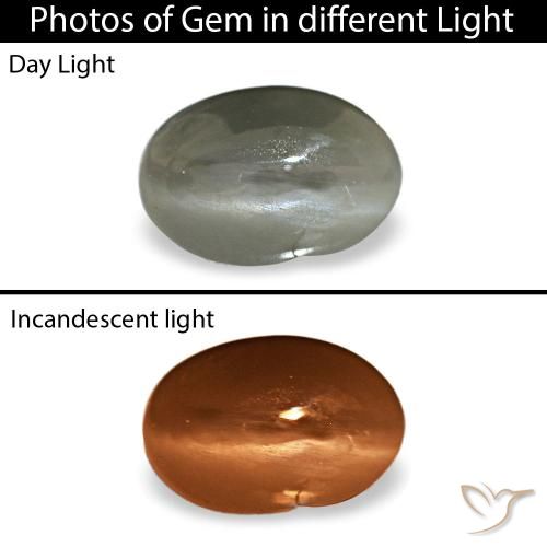 0.35ct رمادي Cat's Eye Alexandrite, بيضاوي, غير شفاف