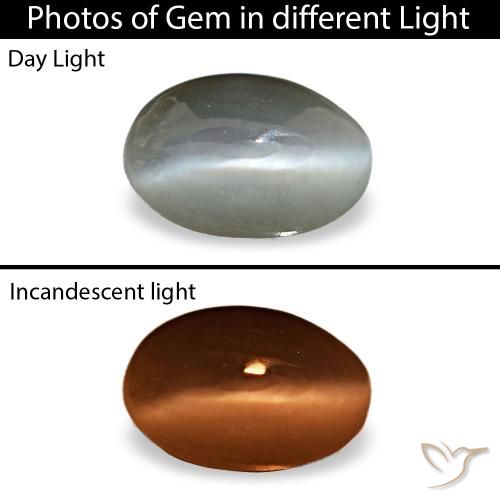 0.33ct رمادي Cat's Eye Alexandrite, بيضاوي, غير شفاف