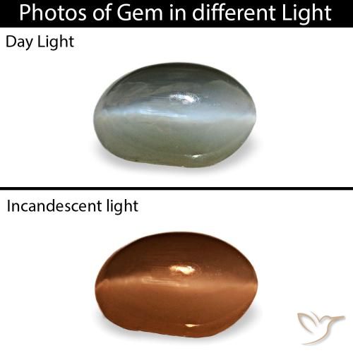 0.40ct رمادي Cat's Eye Alexandrite, بيضاوي, غير شفاف
