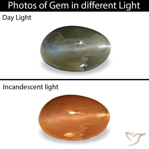 Cat's Eye Alexandrite طبيعي بلون رمادى داكن، وزن ‎0.46‎ قيراط، شكل بيضاوى، مقاس ‎5.3x3.3‎ مم