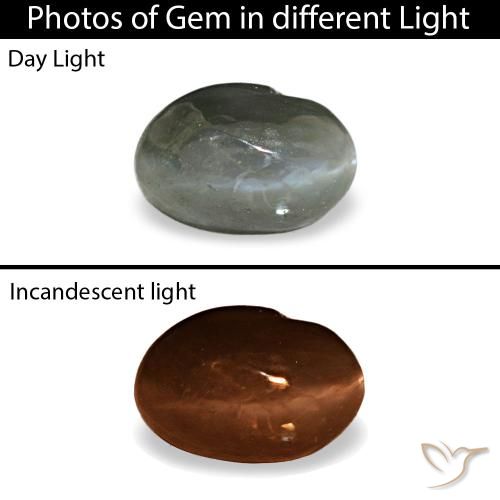 0.41ct رمادي Cat's Eye Alexandrite, بيضاوي, غير شفاف
