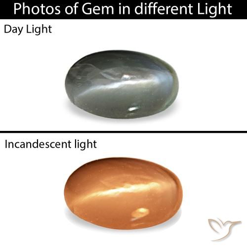 0.43ct رمادي Cat's Eye Alexandrite, بيضاوي, غير شفاف