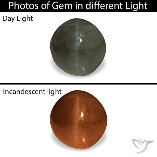 Cat's Eye Alexandrite طبيعي بلون رمادى مخضر، وزن ‎0.66‎ قيراط، شكل دائري، مقاس ‎4.86‎ مم