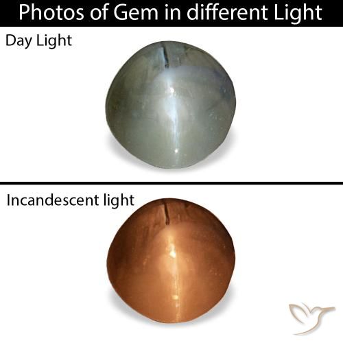 Cat's Eye Alexandrite طبيعي بلون رمادى متوسط، وزن ‎0.85‎ قيراط، شكل دائري، مقاس ‎5.08‎ مم