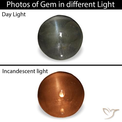 Cat's Eye Alexandrite طبيعي بلون رمادى داكن، وزن ‎1.92‎ قيراط، شكل دائري، مقاس ‎6.49‎ مم
