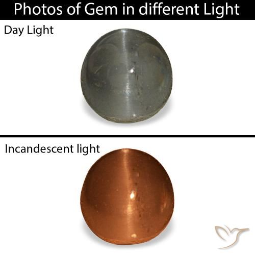 Cat's Eye Alexandrite طبيعي بلون رمادى داكن، وزن ‎0.80‎ قيراط، شكل بيضاوى، مقاس ‎4.9x4.7‎ مم