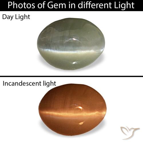 0.44ct رمادي Cat's Eye Alexandrite, بيضاوي, غير شفاف