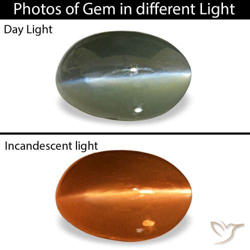 0.50ct رمادي Cat's Eye Alexandrite, بيضاوي, غير شفاف